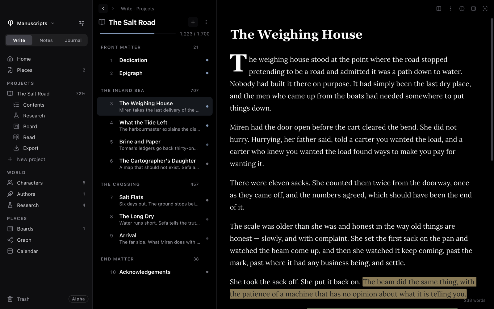 The sidebar with Write chosen, The Salt Road's chapters listed beside it, and a chapter open on the page