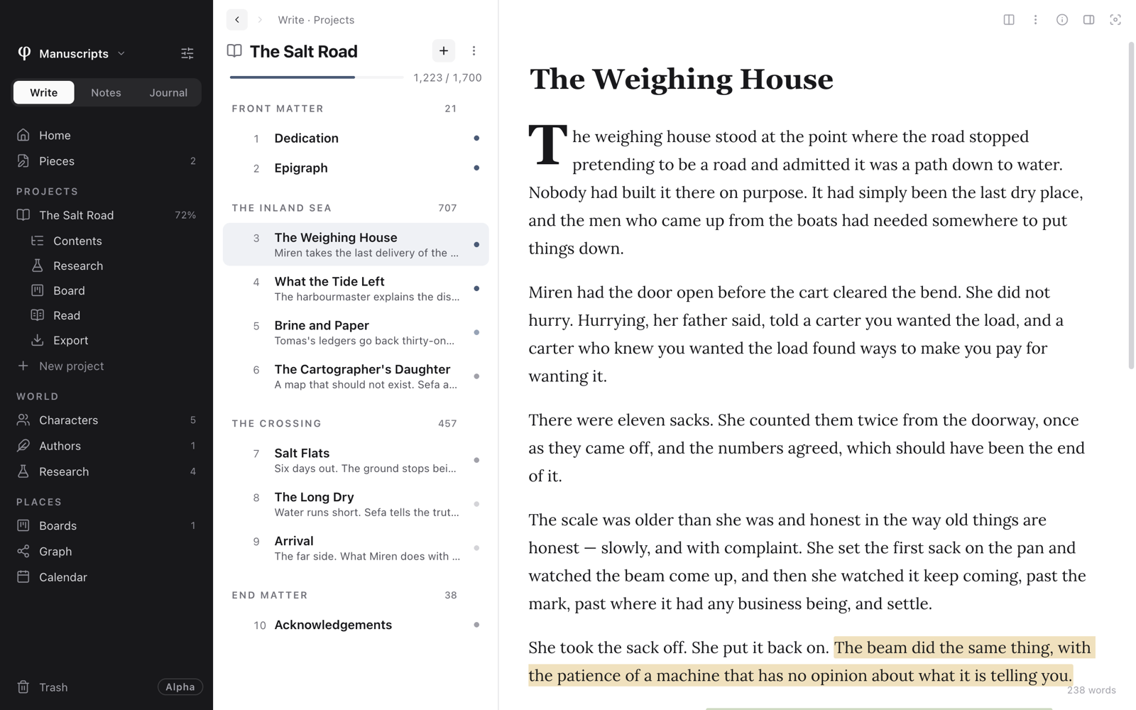 The sidebar with Write chosen, The Salt Road's chapters listed beside it, and a chapter open on the page